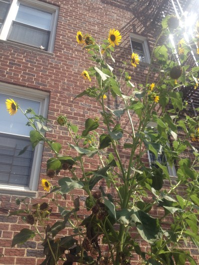 2014-08-20 11.22.54-2 copy