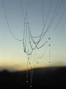 DSC00314 (Small).half300