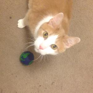 11173372_884124814958909_1589487851339907414_n