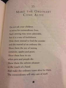 11695882_10206120619847804_855933296018813172_n