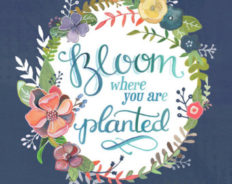 il_340x270.548694413_ehin-2